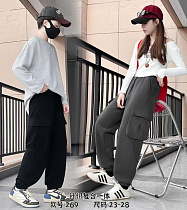 Штаны Спорт Farbique 269 grey - делук