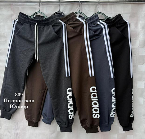 Штаны Спорт Shon S2601 brown - делук