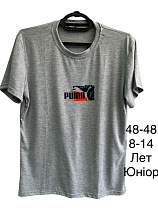 Футболка Tran TR985 grey - делук