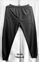 Штаны Спорт Minh MH954 black - делук