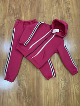 Костюм Спорт Rsv 254-8 fuchsia - делук
