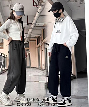 Штаны Спорт Farbique 262 grey - делук