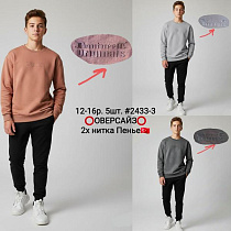 Костюм Спорт Amz 2433-3 l.grey - делук