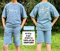 Костюм Ibambino TS17-2 l.blue - делук