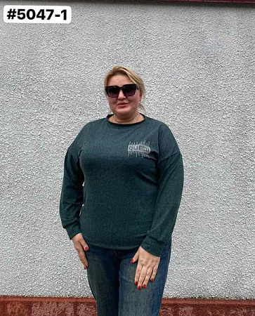 Свитер Bat 5047-1 green - делук