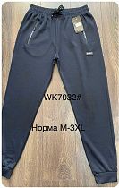 Штаны Спорт Hoan 7032 blue - делук