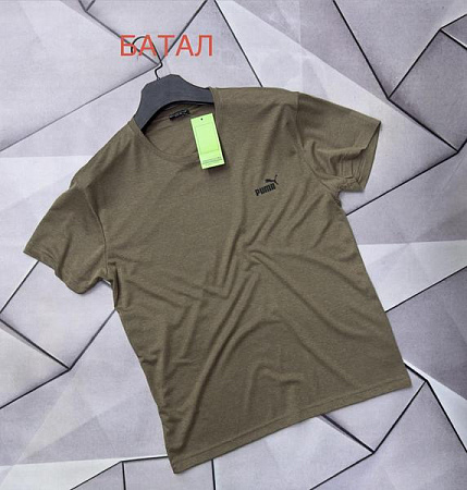 Футболка Rassul 67322 khaki - делук