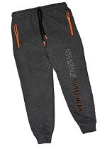 Штаны Спорт Malibu2 9770 d.grey - делук