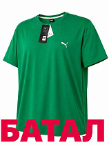 Футболка Alex Clothes 14355 green - делук