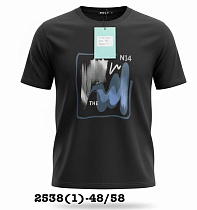 Футболка Liopt 2538-1 black - делук
