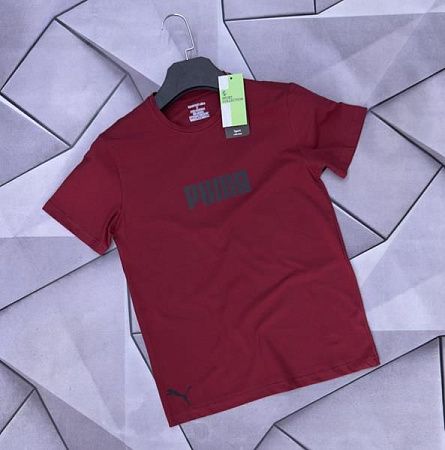Футболка Rassul 6351 wine - делук