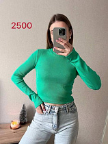 Топ Fsn 2500 l.green - делук