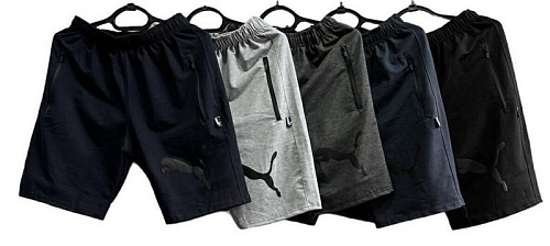 Шорты Essa E951 grey (50-58) - делук