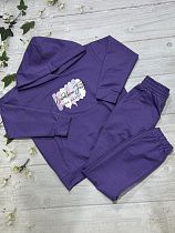 Костюм Спорт No Brand 848 purple - делук