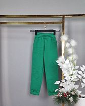 Штаны Спорт Delfinka 439 green Штаны Спорт Delfinka 439 green - делук