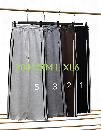 Штаны Спорт Immei 2001-5 l.grey - делук