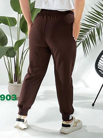 Штаны Спорт T.S.Eliot 903 brown - делук