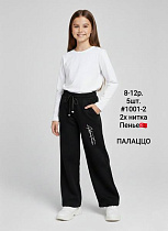 Штаны Спорт Amz 1001-2 black - делук