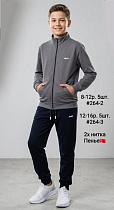 Костюм Спорт Amz 264-2 grey - делук