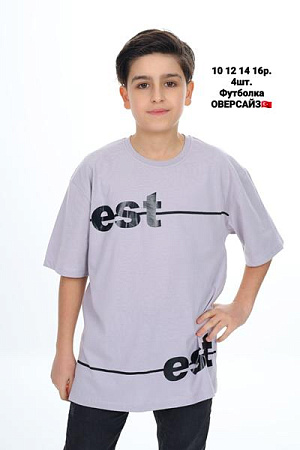 Футболка Amz AM55 grey - делук