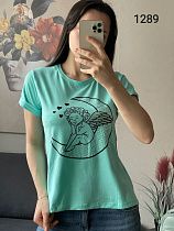 Футболка Fsn 1289 mint - делук