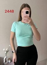 Топ Fsn 2448 mint - делук