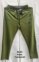 Штаны Спорт Minh MH527 khaki - делук