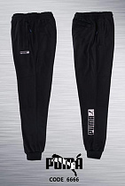 Штаны Спорт Azt AZ597-6666 black - делук