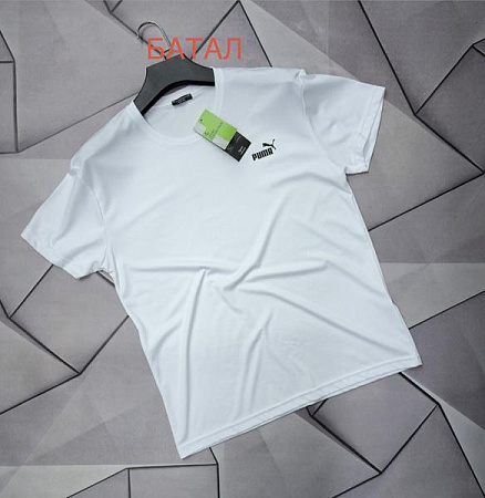 Футболка Rassul 68236 white - делук