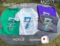 Футболка Фунтик M2517 blue - делук