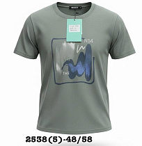Футболка Liopt 2538-5 grey - делук