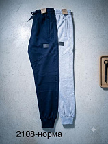 Штаны Спорт Moranny 2108 navy - делук