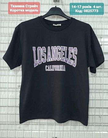 Футболка Amz 0825773 black - делук