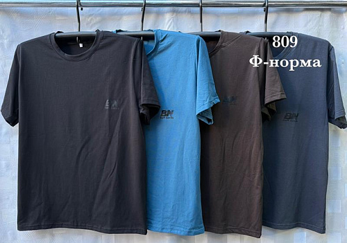 Футболка Shon S2688 black - делук