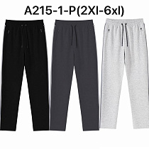 Штаны Спорт Ale-Ate A215-1P l.grey - делук