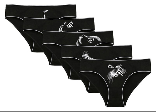 Трусы Disneyopt Kids 5171RM black (12-13) - делук