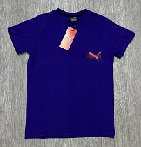 Футболка Mirwear Kids 272-2P blue - делук