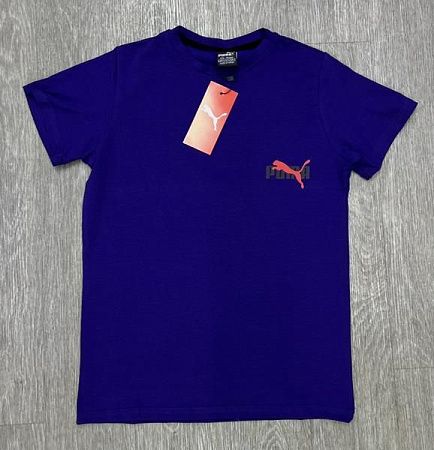 Футболка Mirwear Kids 272-2P blue - делук