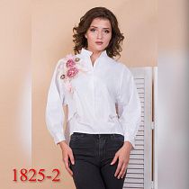 Рубашка No Brand 1825-2 - делук