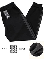 Штаны Спорт Hoan 9203-2 black - делук