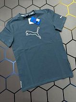Футболка Alex Clothes 2607 blue - делук