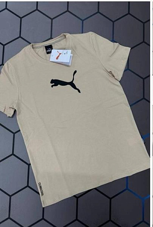 Футболка Alex Clothes 13090 beige - делук