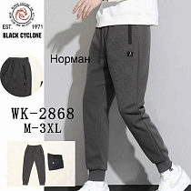 Штаны Спорт Giang 2868 grey - делук