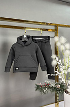 Костюм Спорт Delfinka 433-1 grey - делук