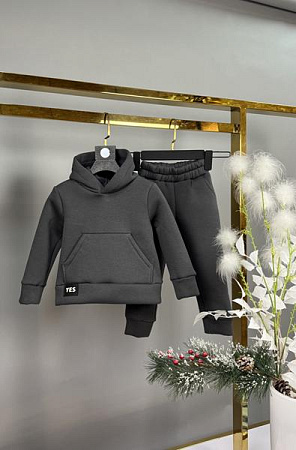 Костюм Спорт Delfinka 433-1 grey - делук