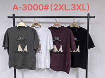 Футболка Saint Wish A3000 mix - делук