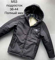 Куртка Giang G155-M53 grey-black - делук
