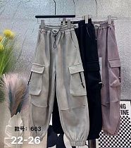 Штаны Farbique 663 grey - делук