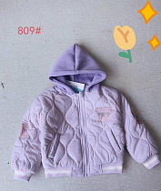 Куртка Flong 809 purple - делук