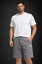 Шорты Zalov ZW1404 grey - делук